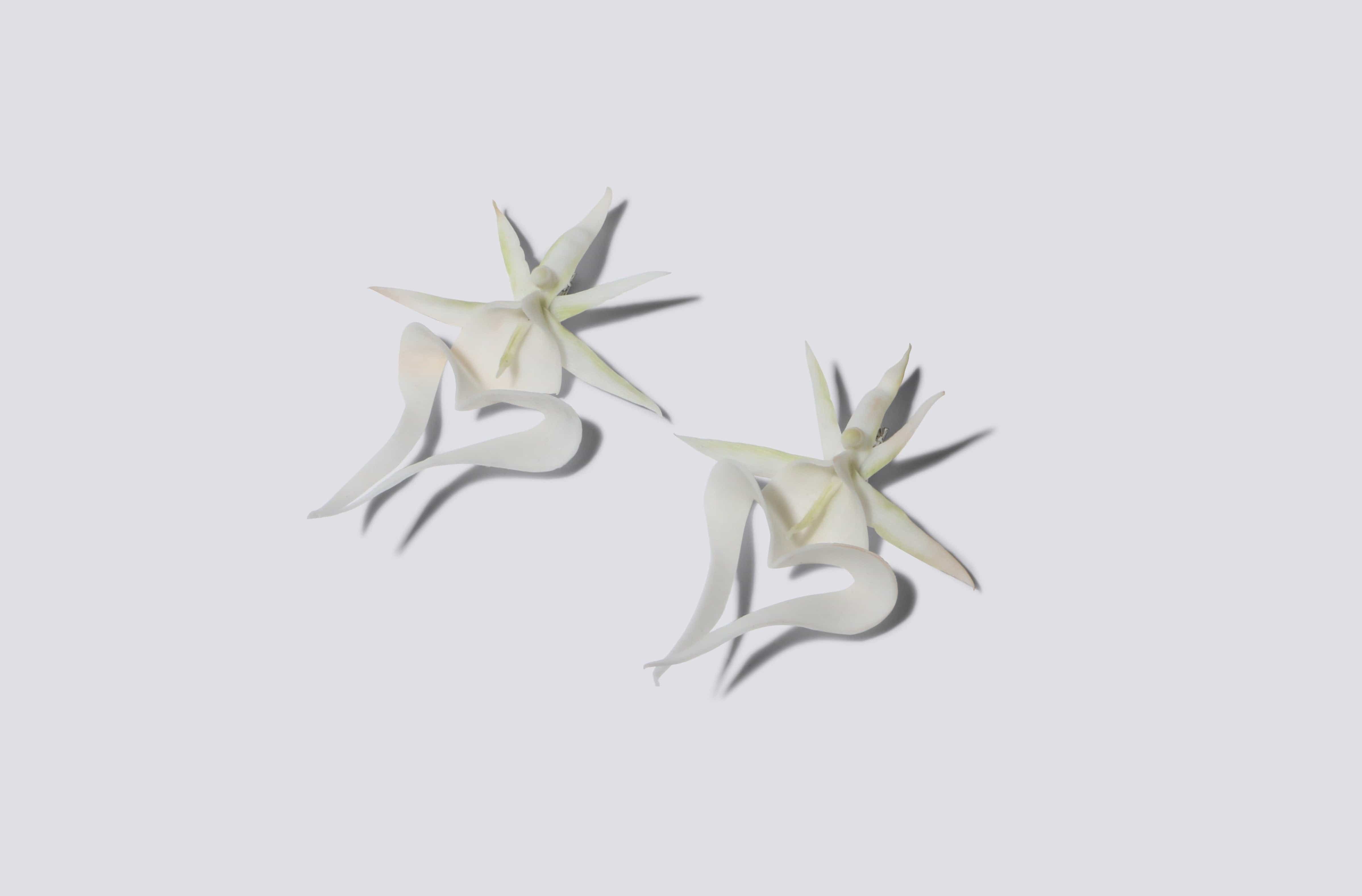 Maimoun Baggira Ghost Orchid Earrings