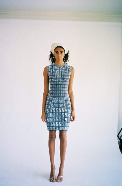 Barragán ~ Monogram Fisheye Knit Dress