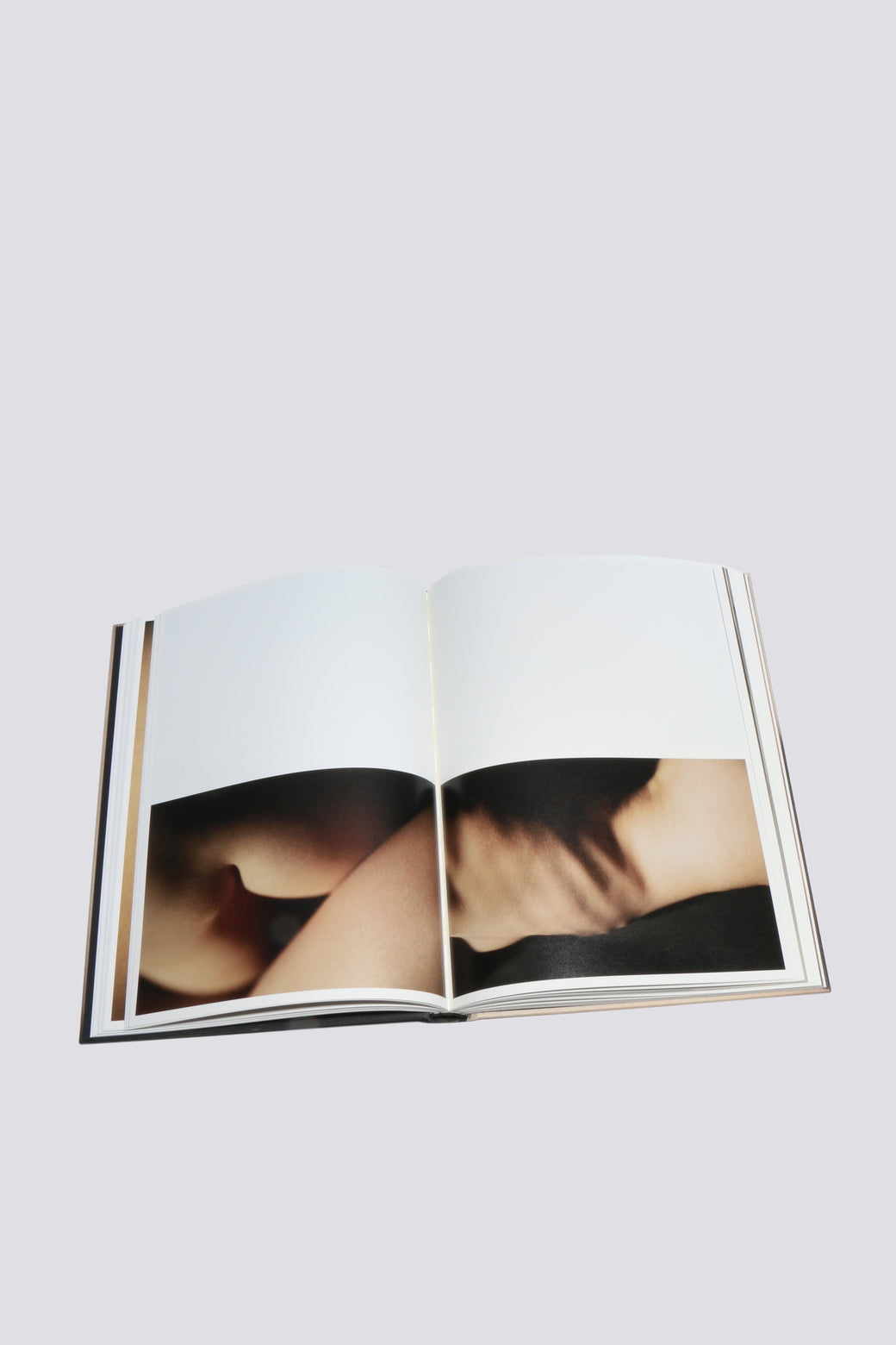 David Lynch Nudes Hardcover-
