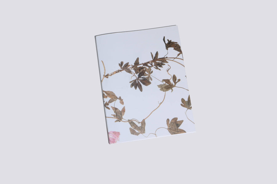 Maimoun Yundler Brondino Verlag Toxic Garden